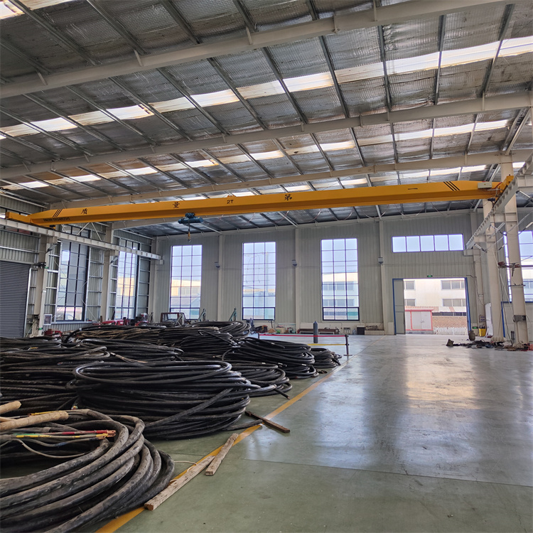 小型单梁行车 轨距25米车间航吊 一对一跟踪服务