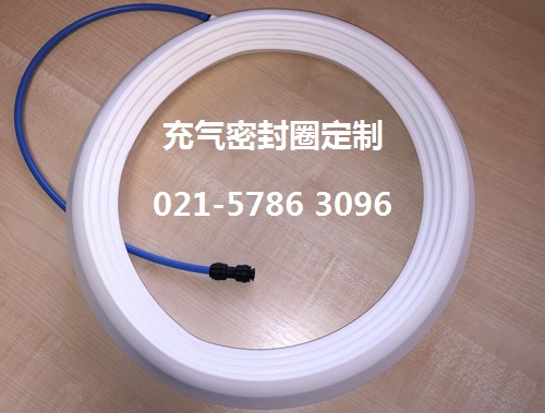 喷雾造粒机充气密封圈